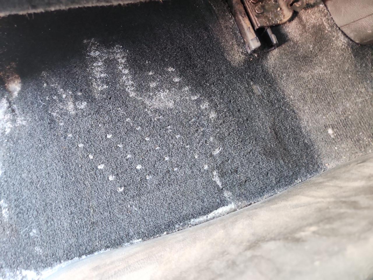 2015 Chevrolet Colorado Белый vin: 1GCHSAEA2F1217797 Damage: Left Rear Carpet, Stained, Permanent