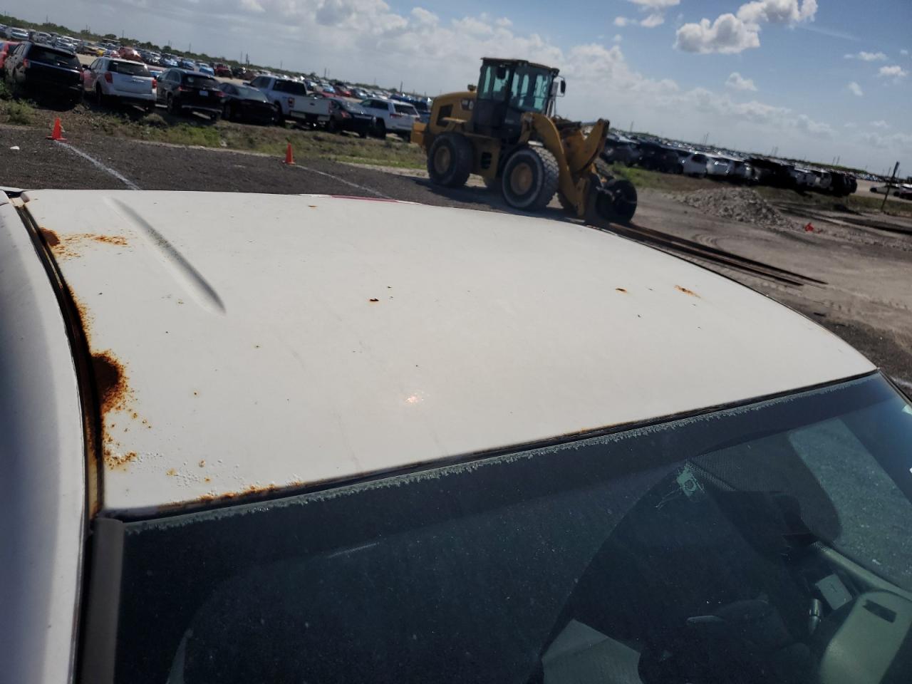 2011 Chevrolet Silverado C1500 White vin: 1GCNCPEX5BZ285322 Damage: Roof, Corrosion, > 12 Inches