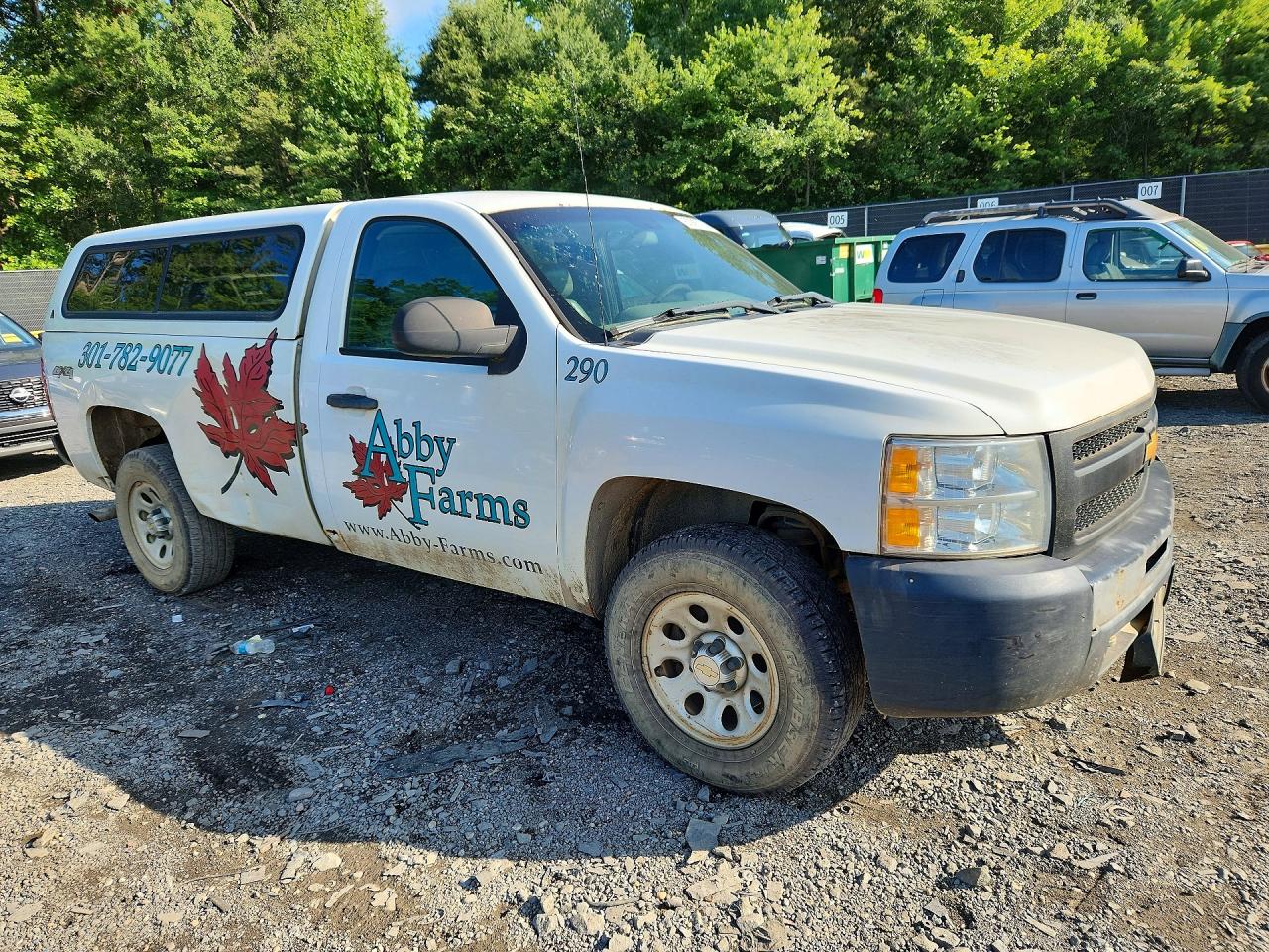 2013 Chevrolet Silverado K1500 Белый vin: 1GCNKPEX5DZ284998