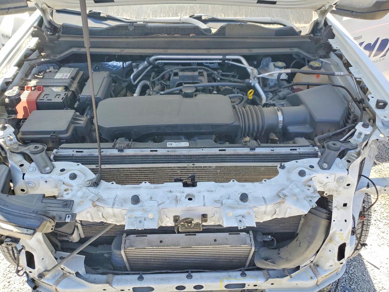 2023 Chevrolet Colorado White vin: 1GCPSBEK3P1171098