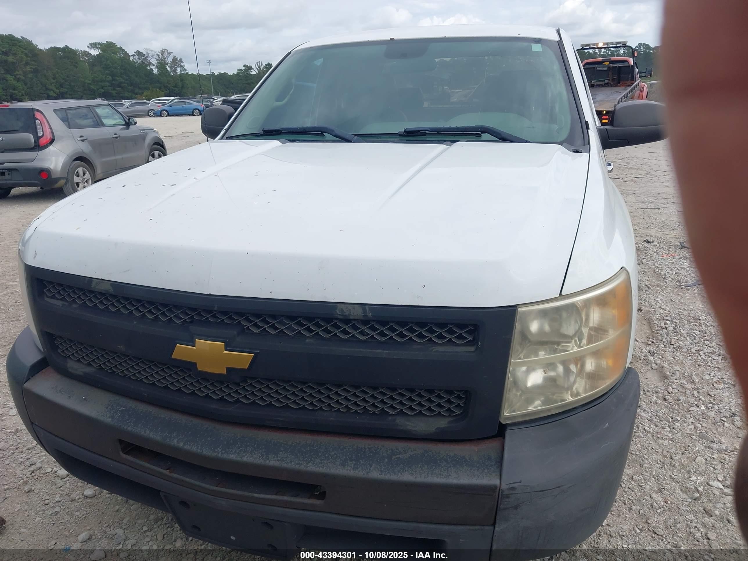 2013 Chevrolet Silverado 1500 Work Truck White vin: 1GCRCPEA1DZ385644