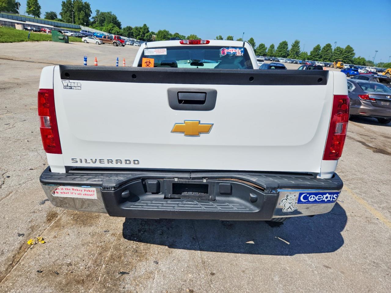 2013 Chevrolet Silverado C1500 White vin: 1GCRCPEX2DZ396902