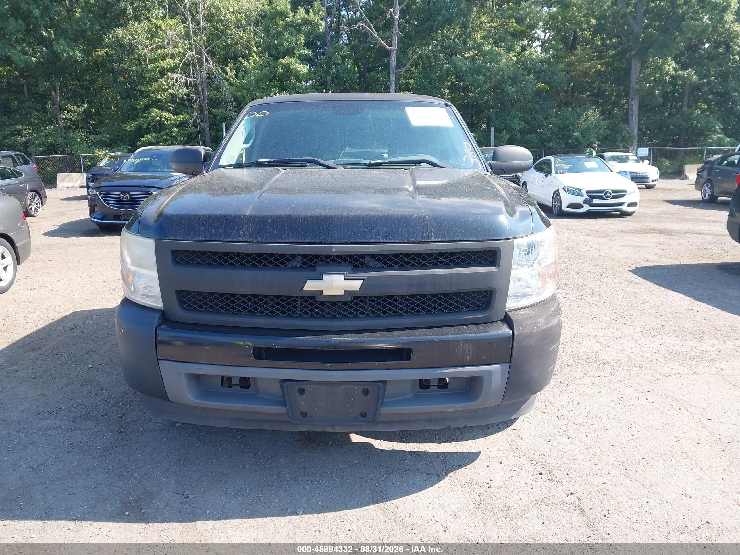 2010 Chevrolet Silverado 1500 Work Truck Черный vin: 1GCSCPEX9AZ123436