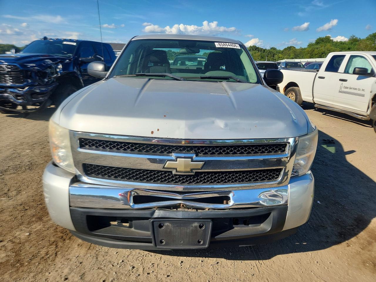 2010 Chevrolet Silverado C1500 Серебряный vin: 1GCSCPEXXAZ281994
