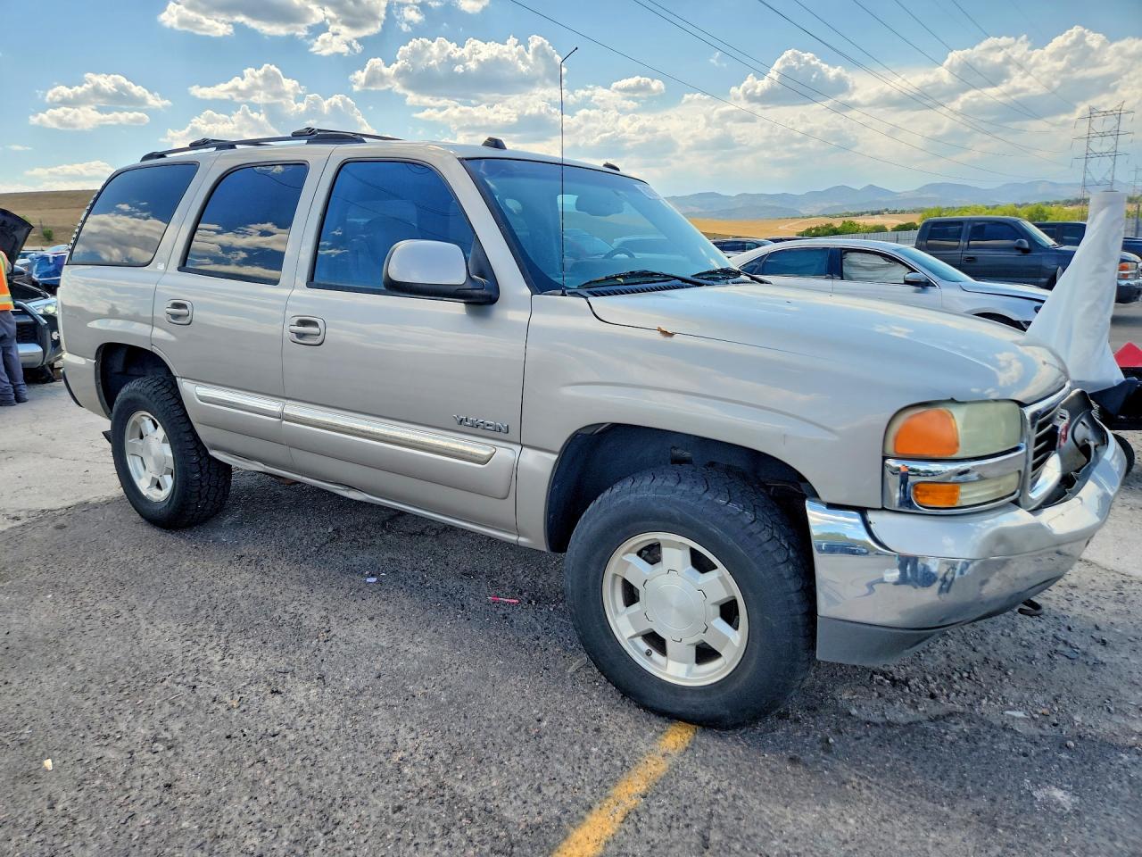 2004 Gmc Yukon Beige vin: 1GKEK13Z14R224657