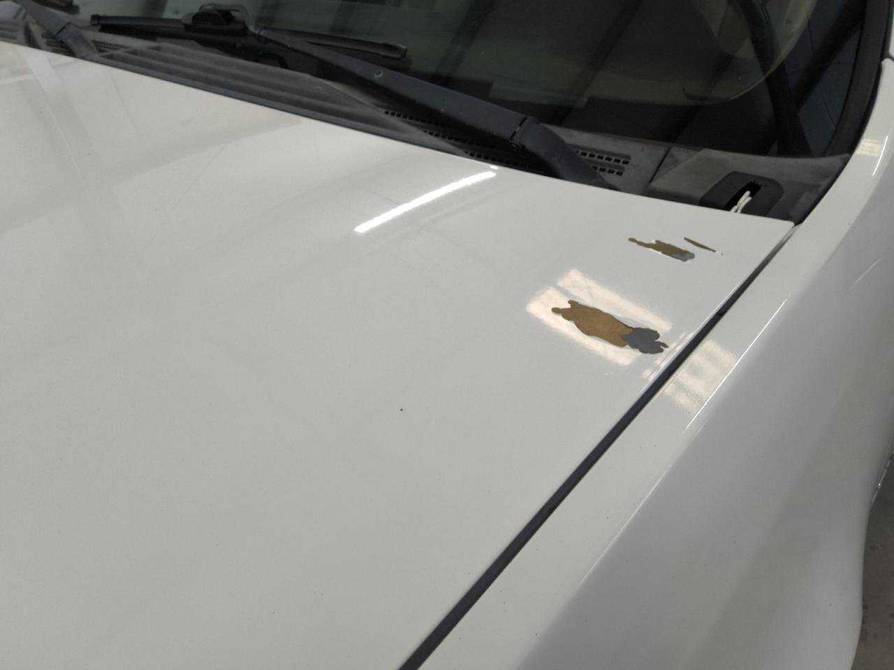 2009 Gmc Yukon Xl Denali White vin: 1GKFK06219J112962 Damage: Hood, Chipped, 4