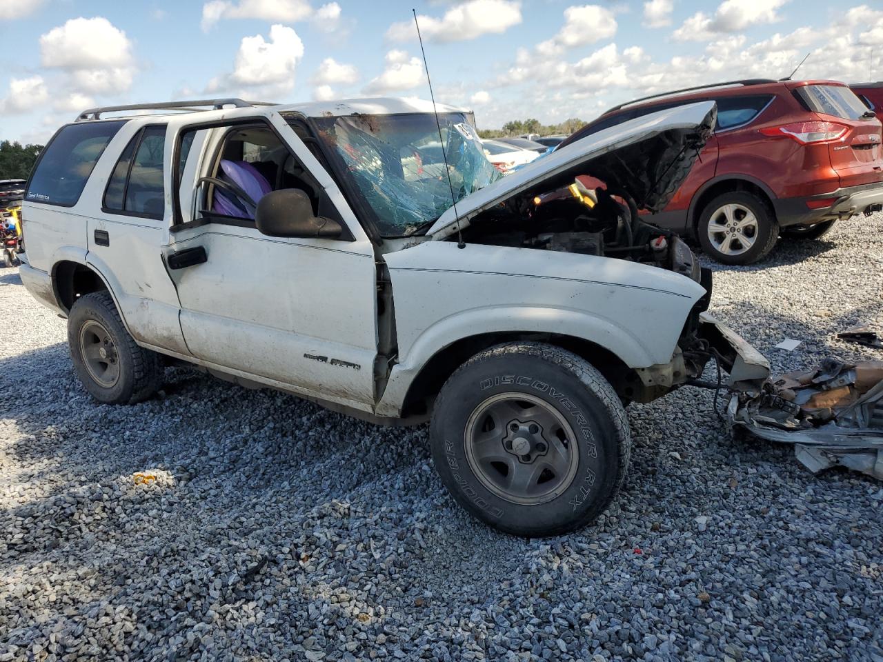 1996 Chevrolet Blazer White vin: 1GNCS13W4T2251083