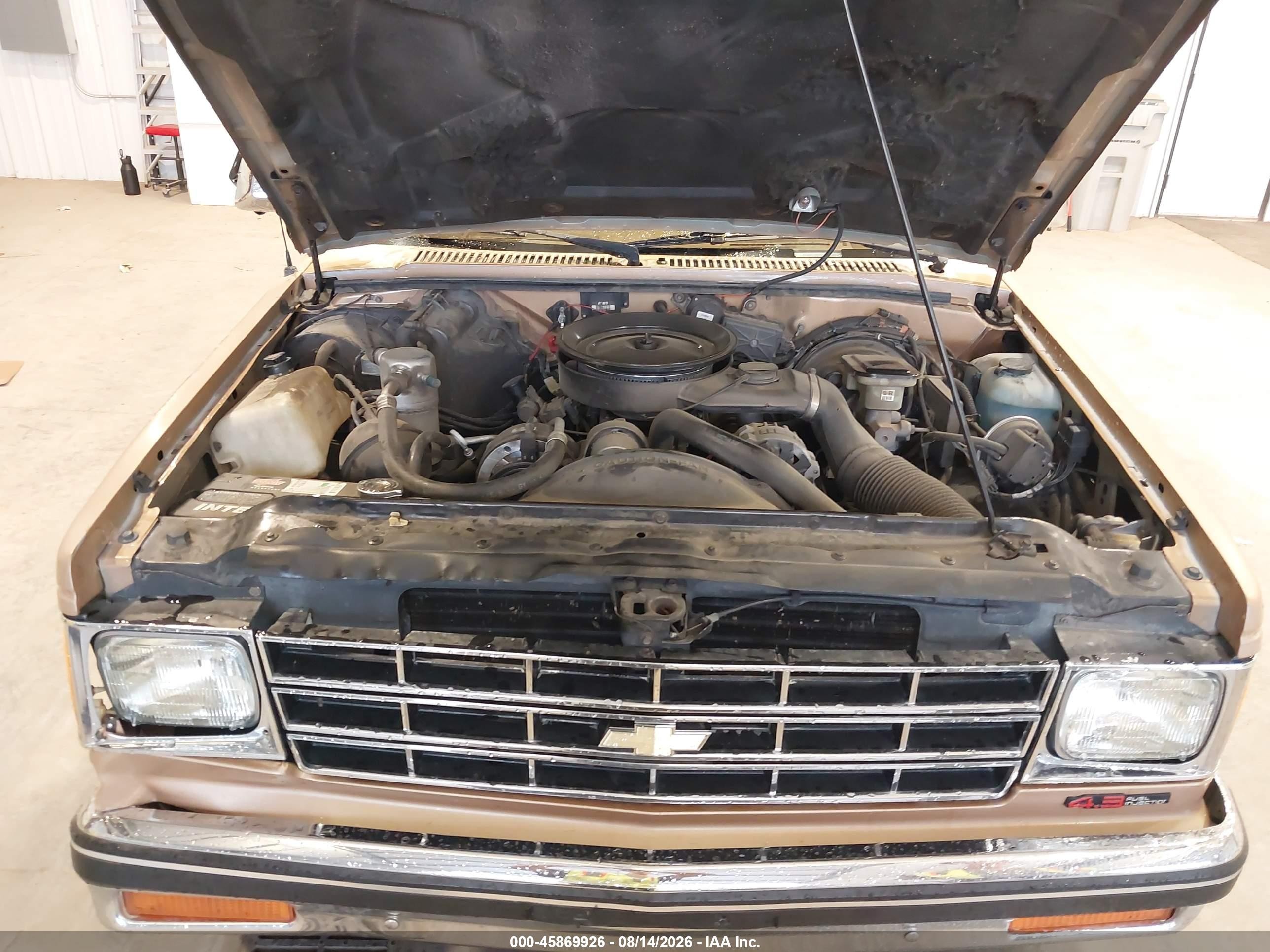 1989 Chevrolet Blazer S10 Tan vin: 1GNCT18Z2K8207739