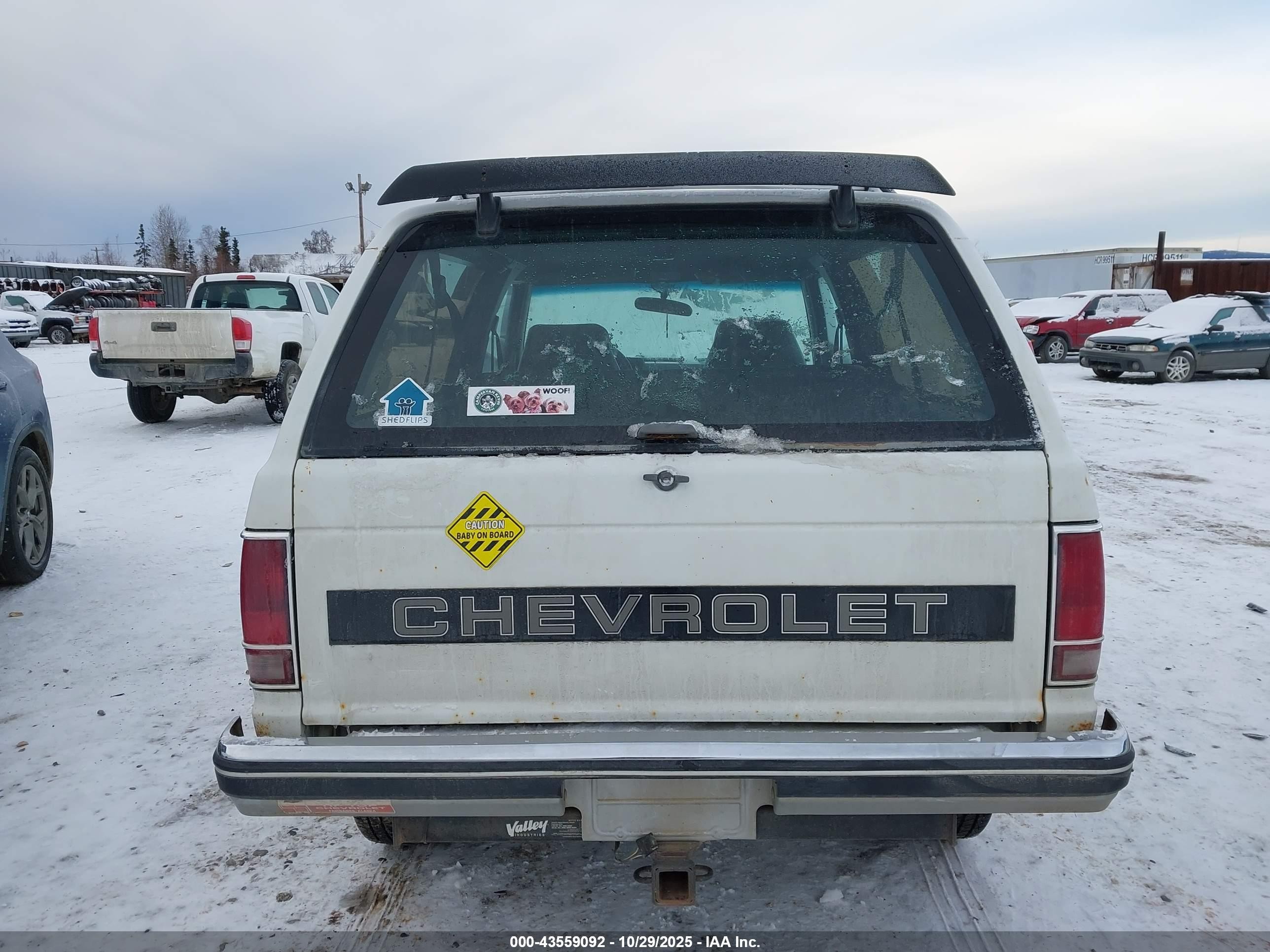 1989 Chevrolet Blazer S10 White vin: 1GNCT18Z6K0133403