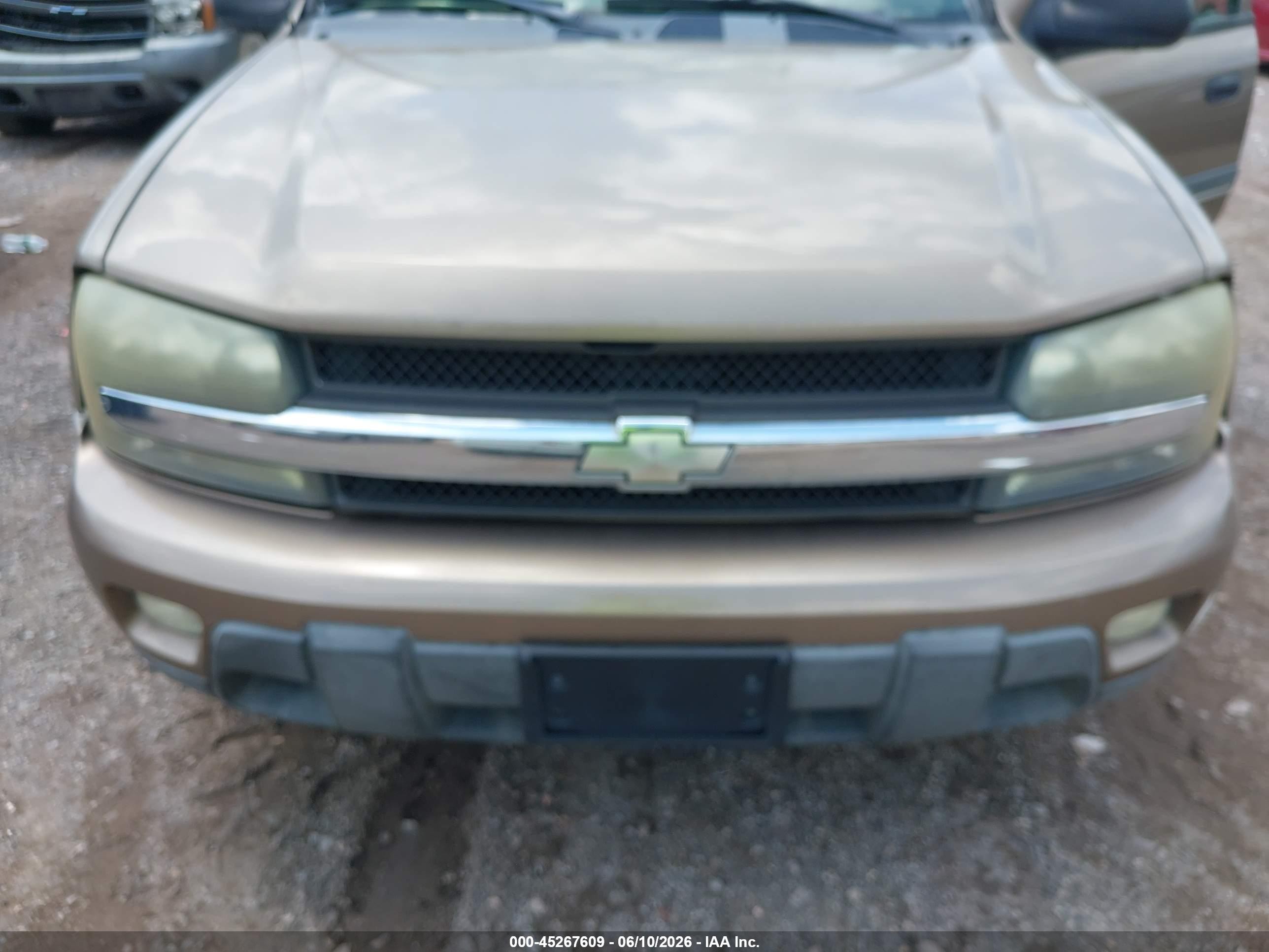 2002 Chevrolet Trailblazer Lt Бежевый vin: 1GNDS13S022314003