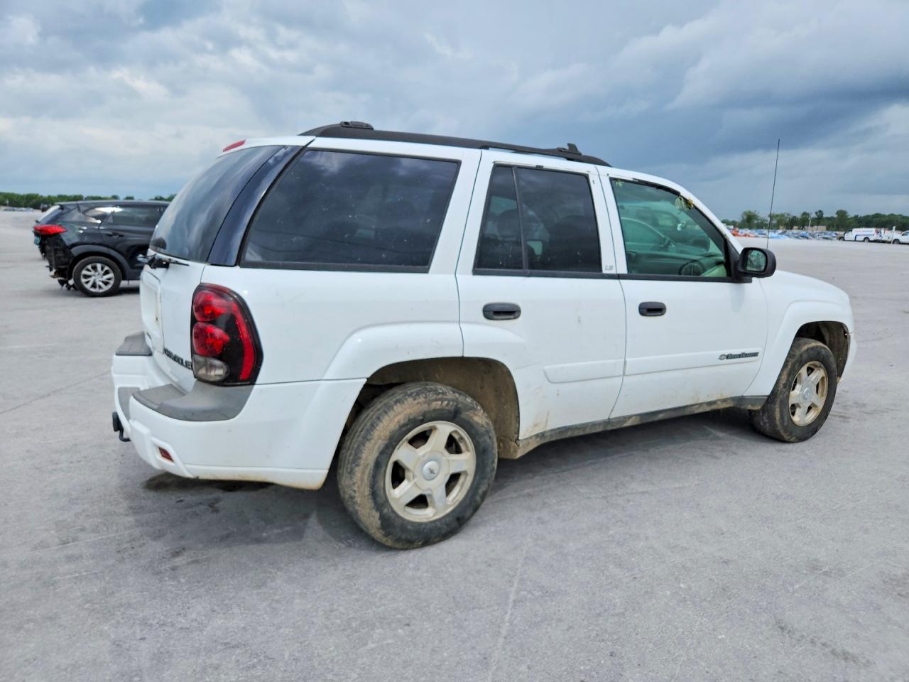 2002 Chevrolet Trailblazer White vin: 1GNDS13S022475709