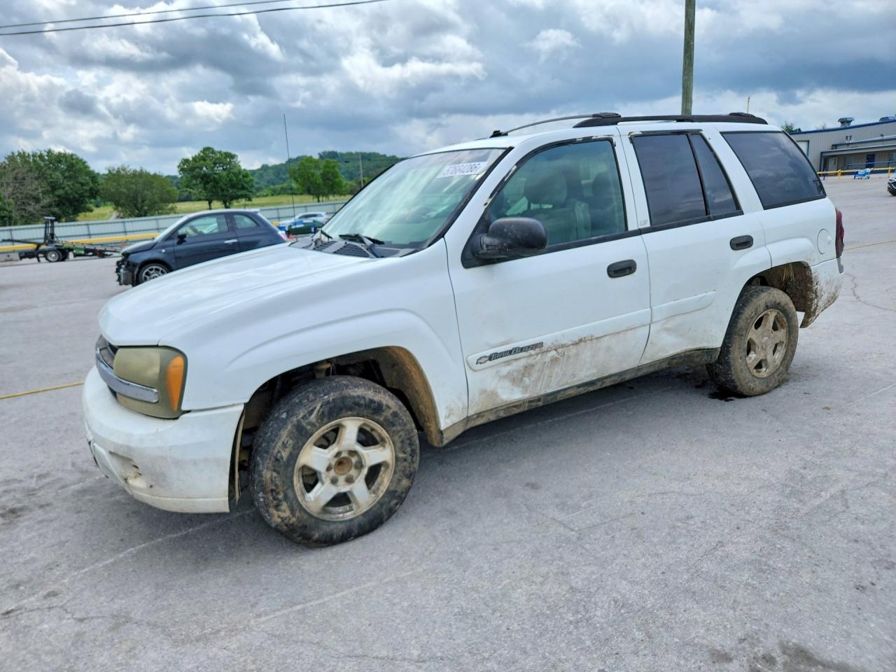 2002 Chevrolet Trailblazer Белый vin: 1GNDS13S022475709