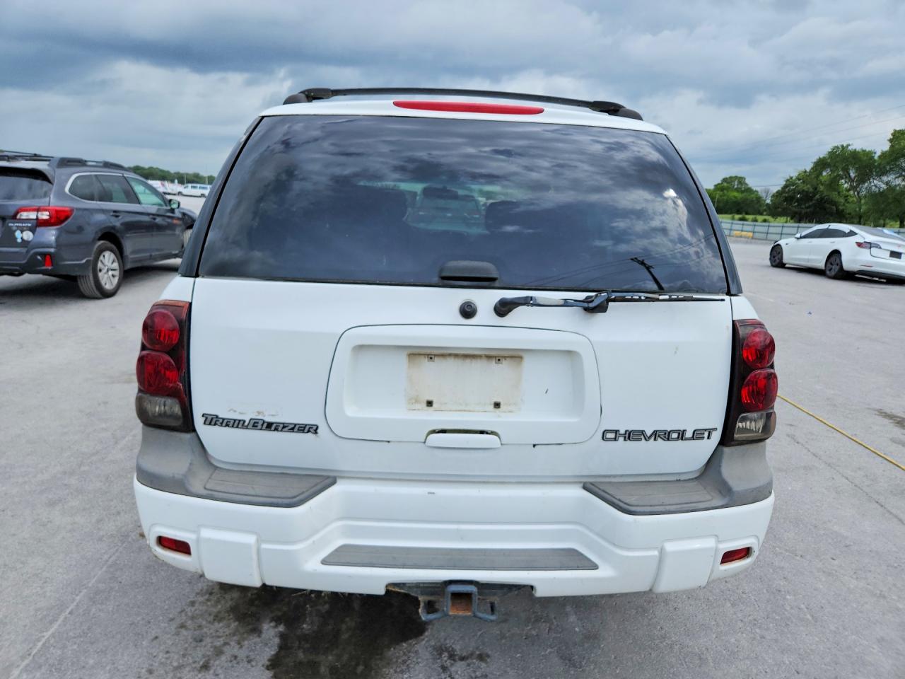 2002 Chevrolet Trailblazer White vin: 1GNDS13S022475709