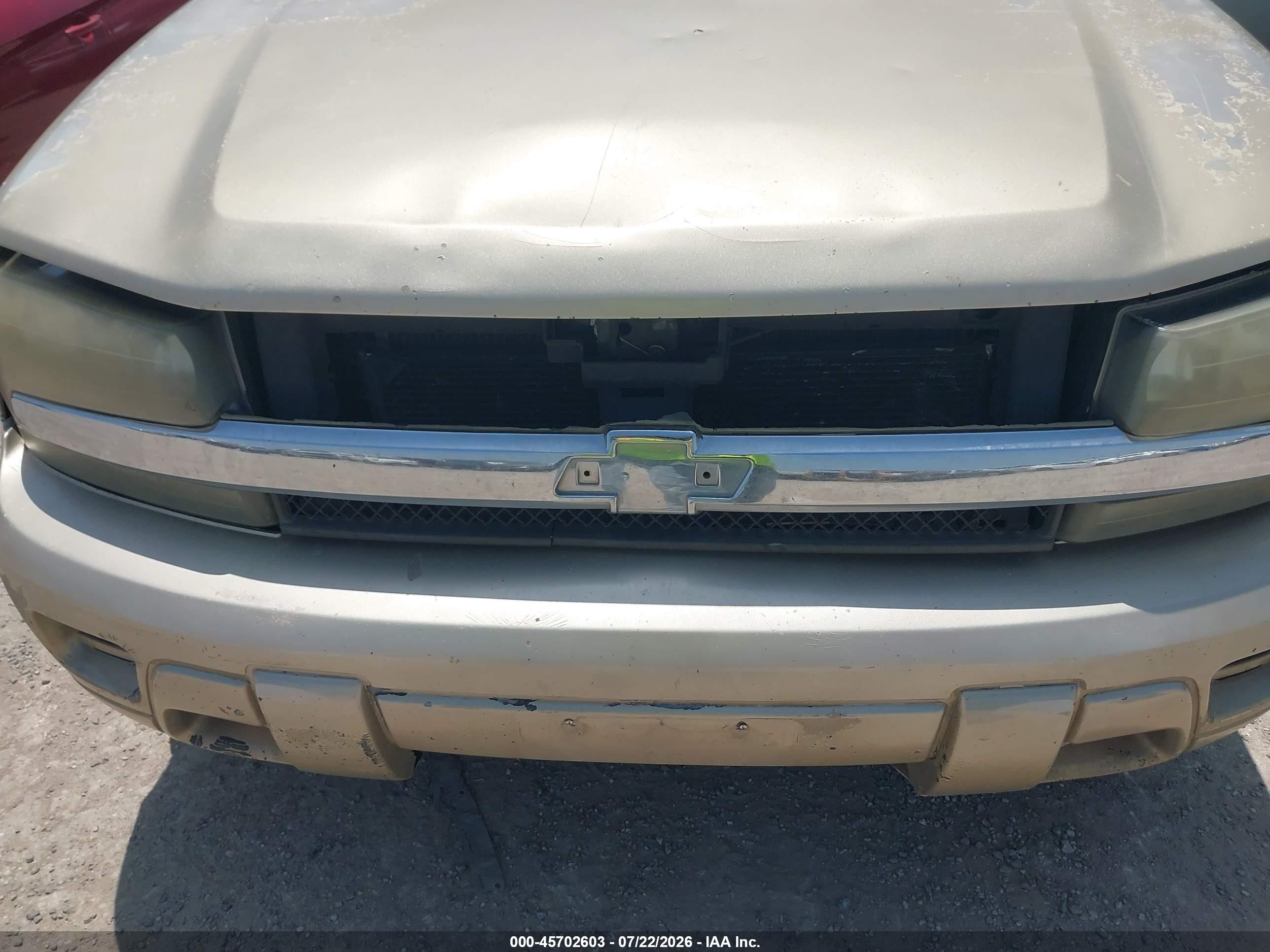 2004 Chevrolet Trailblazer Ls Золотой vin: 1GNDS13S042267610