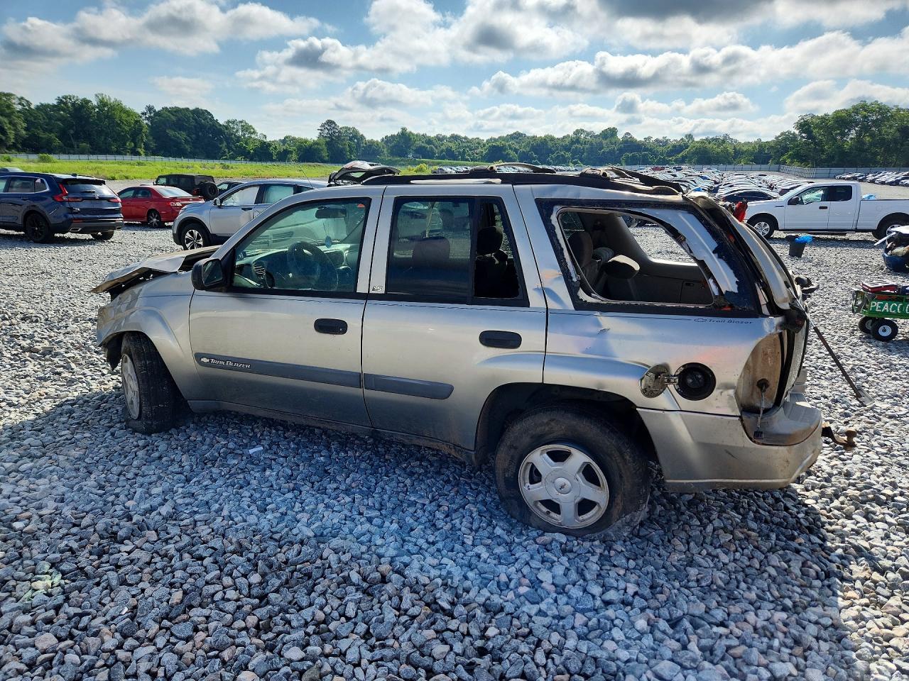 2003 Chevrolet Trailblazer Tan vin: 1GNDS13S132239362