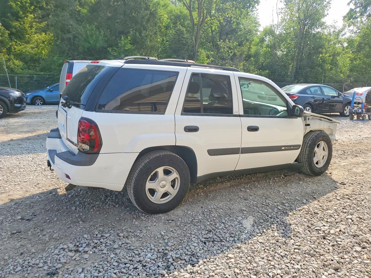 2003 Chevrolet Trailblazer White vin: 1GNDS13S232166230