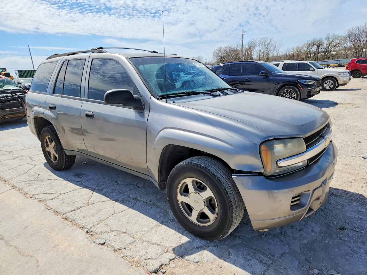2006 Chevrolet Trailblazer Ls Gold vin: 1GNDS13S262117520