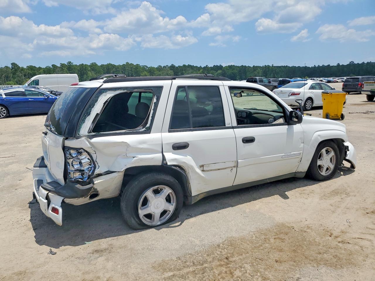2003 Chevrolet Trailblazer White vin: 1GNDS13S332396648