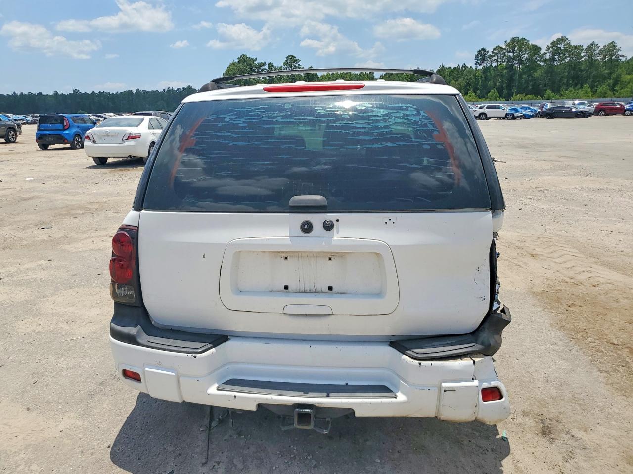 2003 Chevrolet Trailblazer White vin: 1GNDS13S332396648