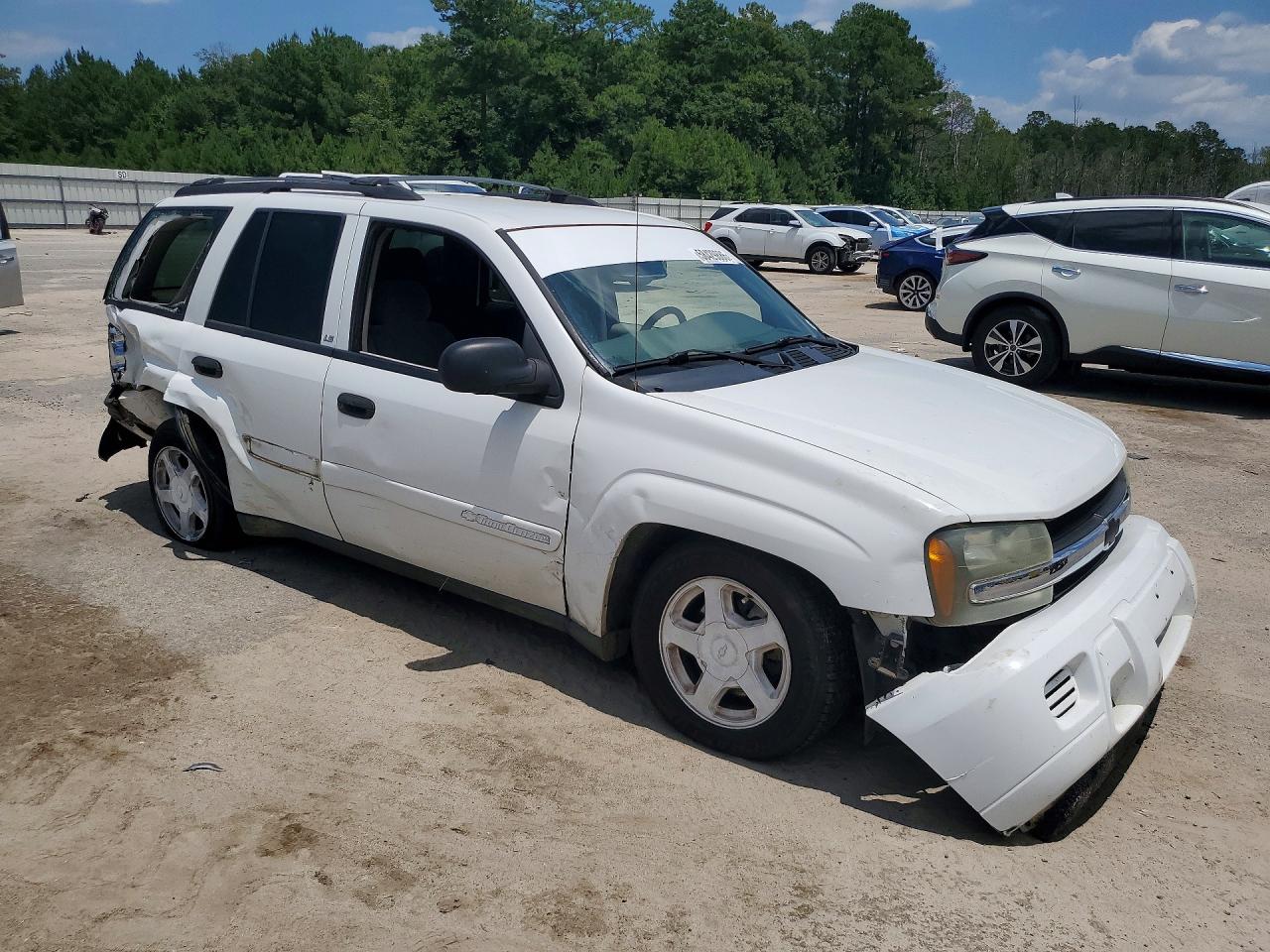 2003 Chevrolet Trailblazer White vin: 1GNDS13S332396648