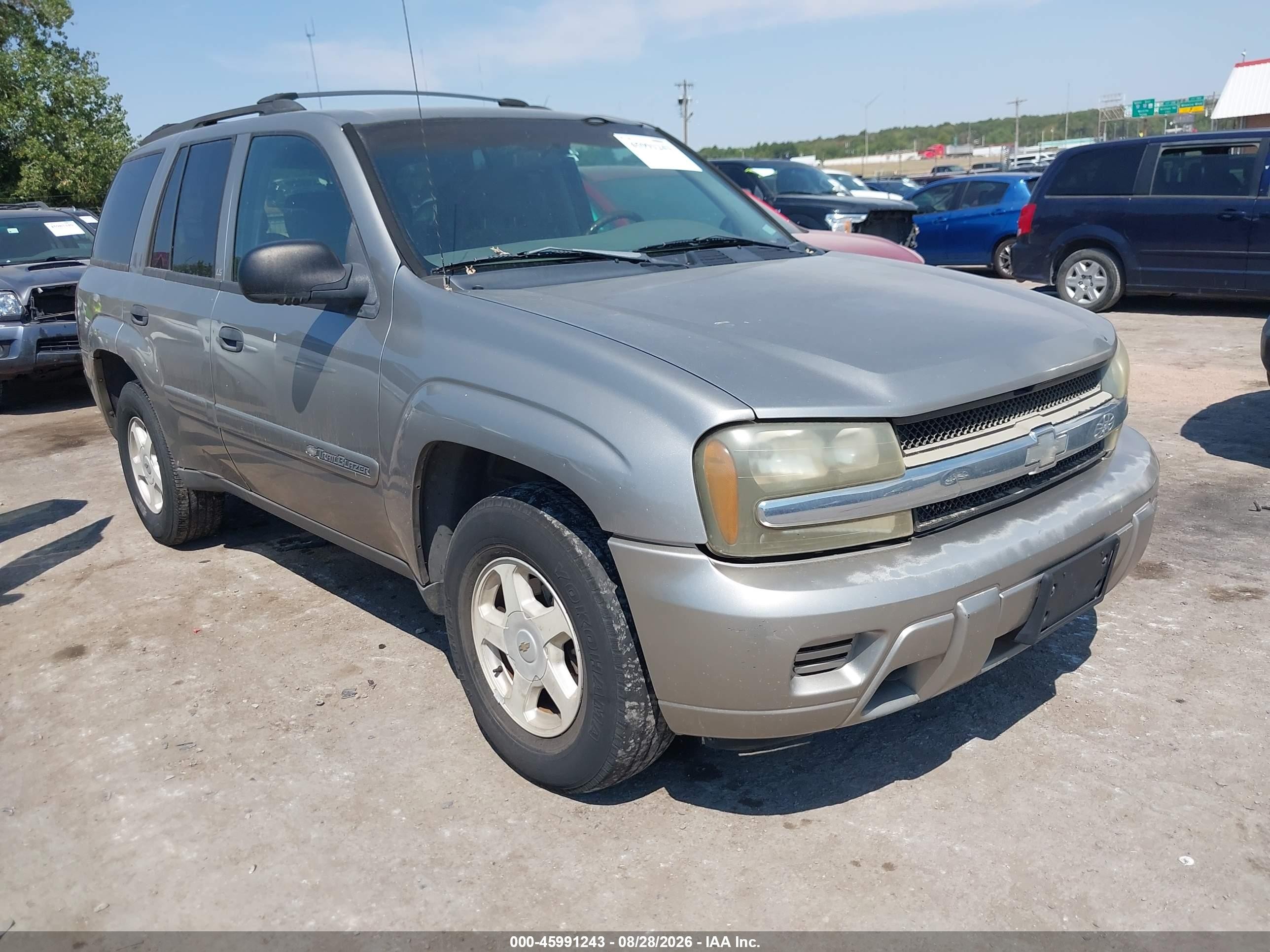 2002 Chevrolet Trailblazer Ls Silver vin: 1GNDS13S422401600