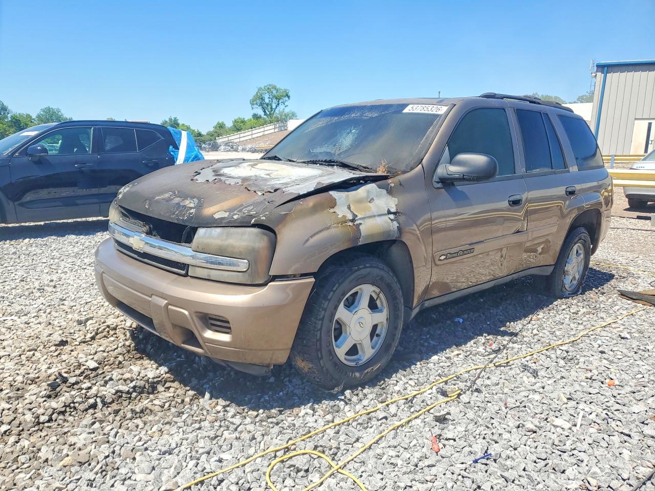 2002 Chevrolet Trailblazer Brown vin: 1GNDS13S722454727