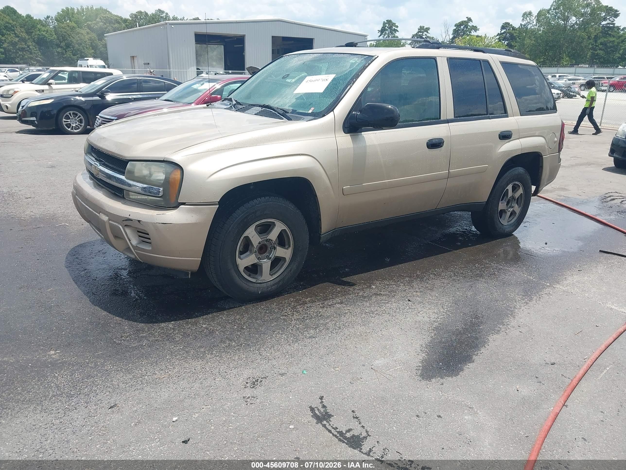 2006 Chevrolet Trailblazer Ls Beige vin: 1GNDS13S962269567