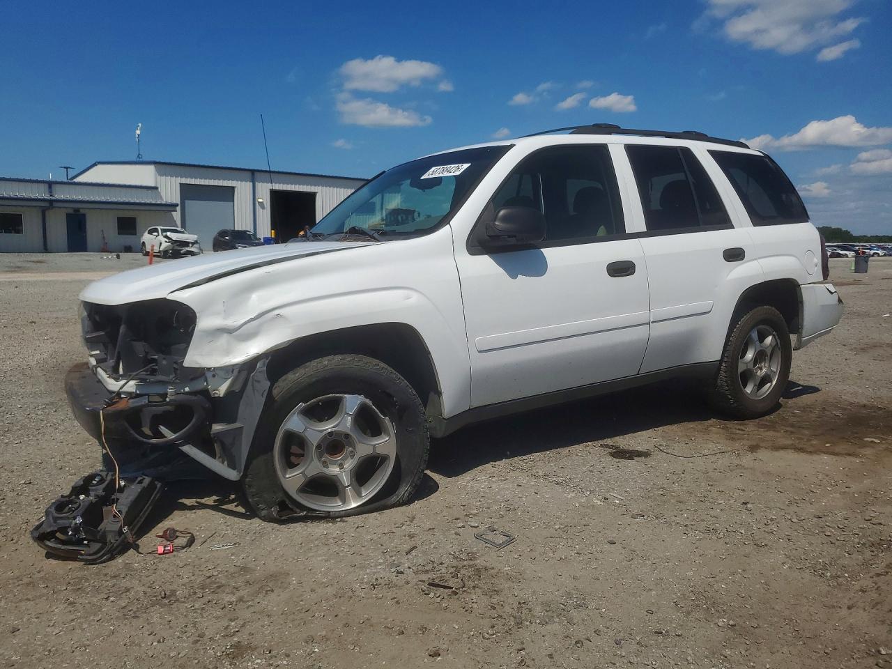 2008 Chevrolet Trailblazer Ls Белый vin: 1GNDS13S982103746