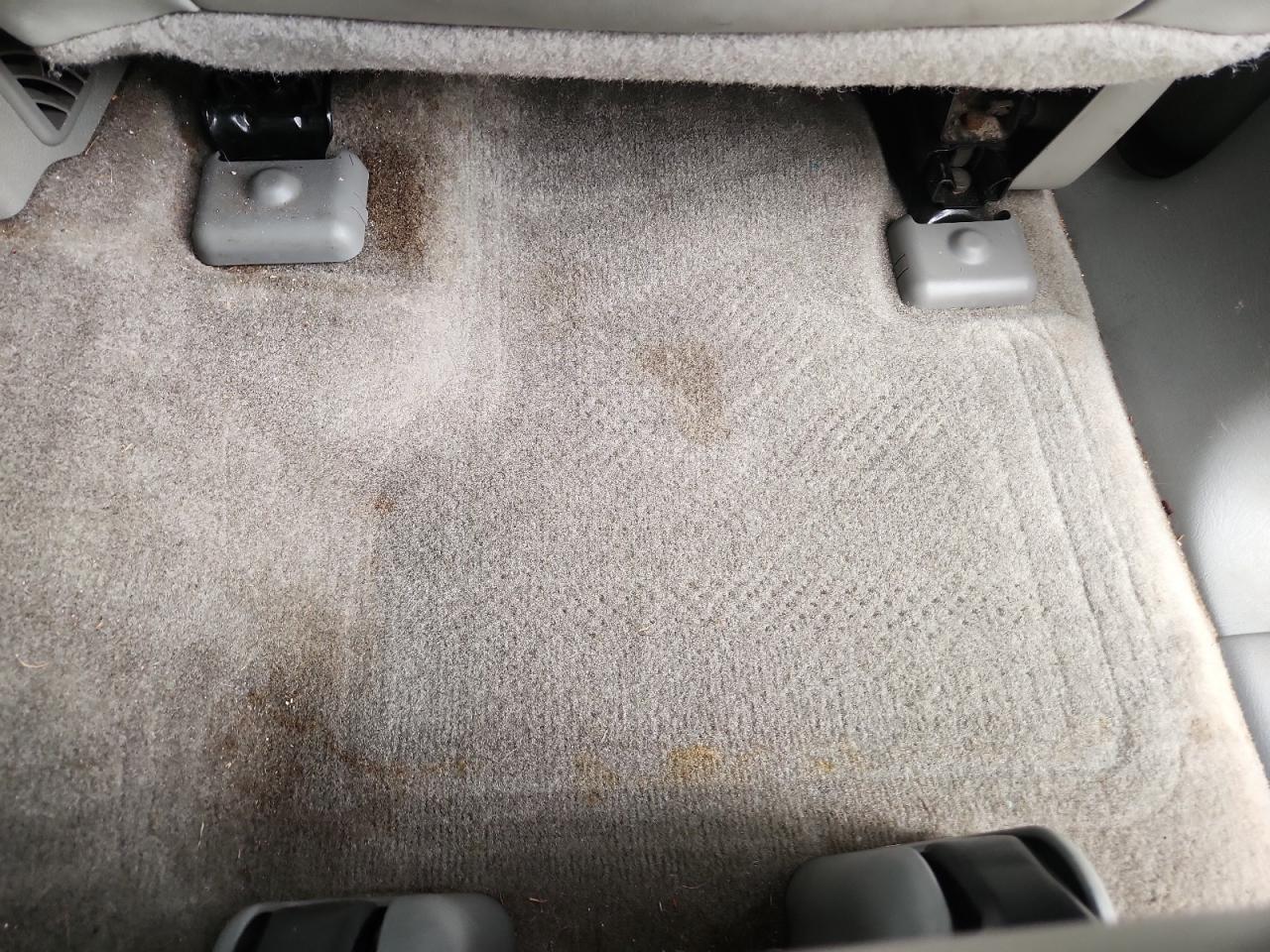 2009 Chevrolet Trailblazer Lt Black vin: 1GNDS33S492127756 Damage: Right Rear Carpet, Stained, Permanent