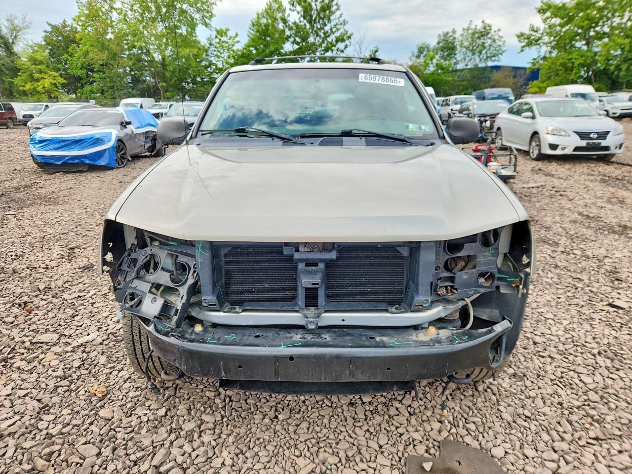 2002 Chevrolet Trailblazer Желто-коричневый vin: 1GNDT13S022290086