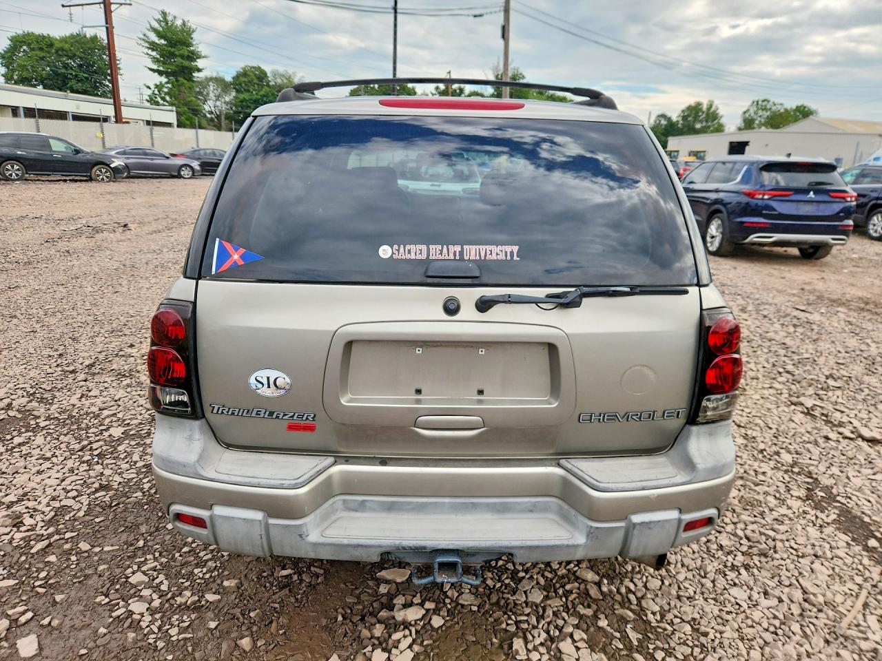 2002 Chevrolet Trailblazer Желто-коричневый vin: 1GNDT13S022290086