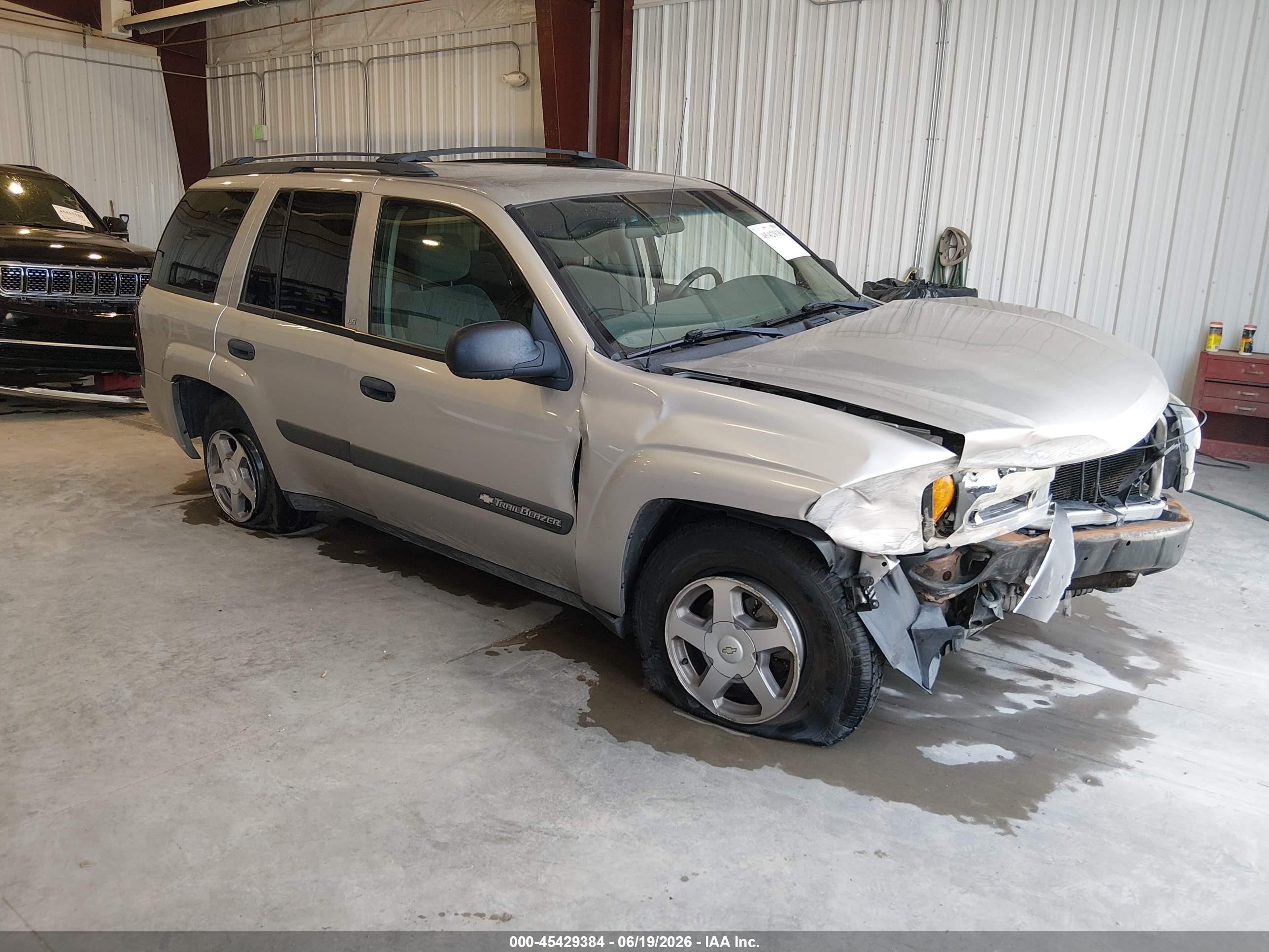 2004 Chevrolet Trailblazer Ls Серебряный vin: 1GNDT13S042266664