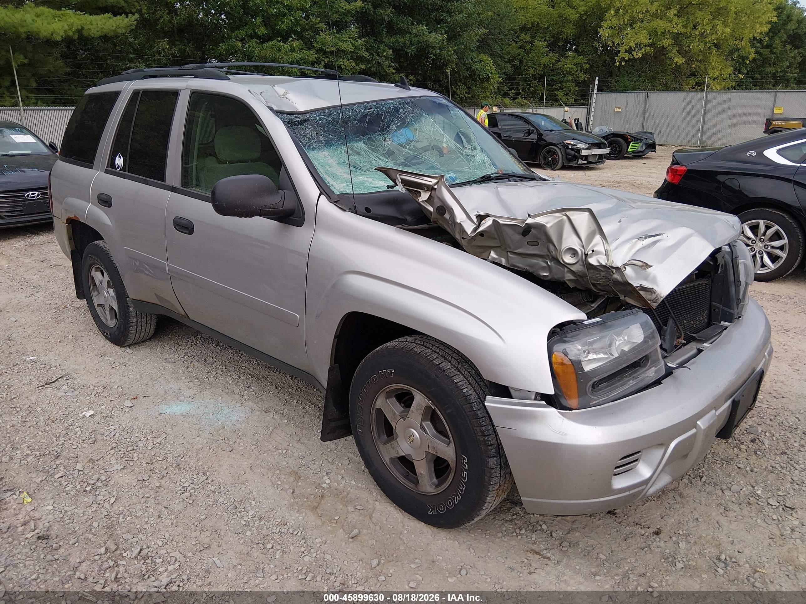 2006 Chevrolet Trailblazer Ls Серебряный vin: 1GNDT13S162166642