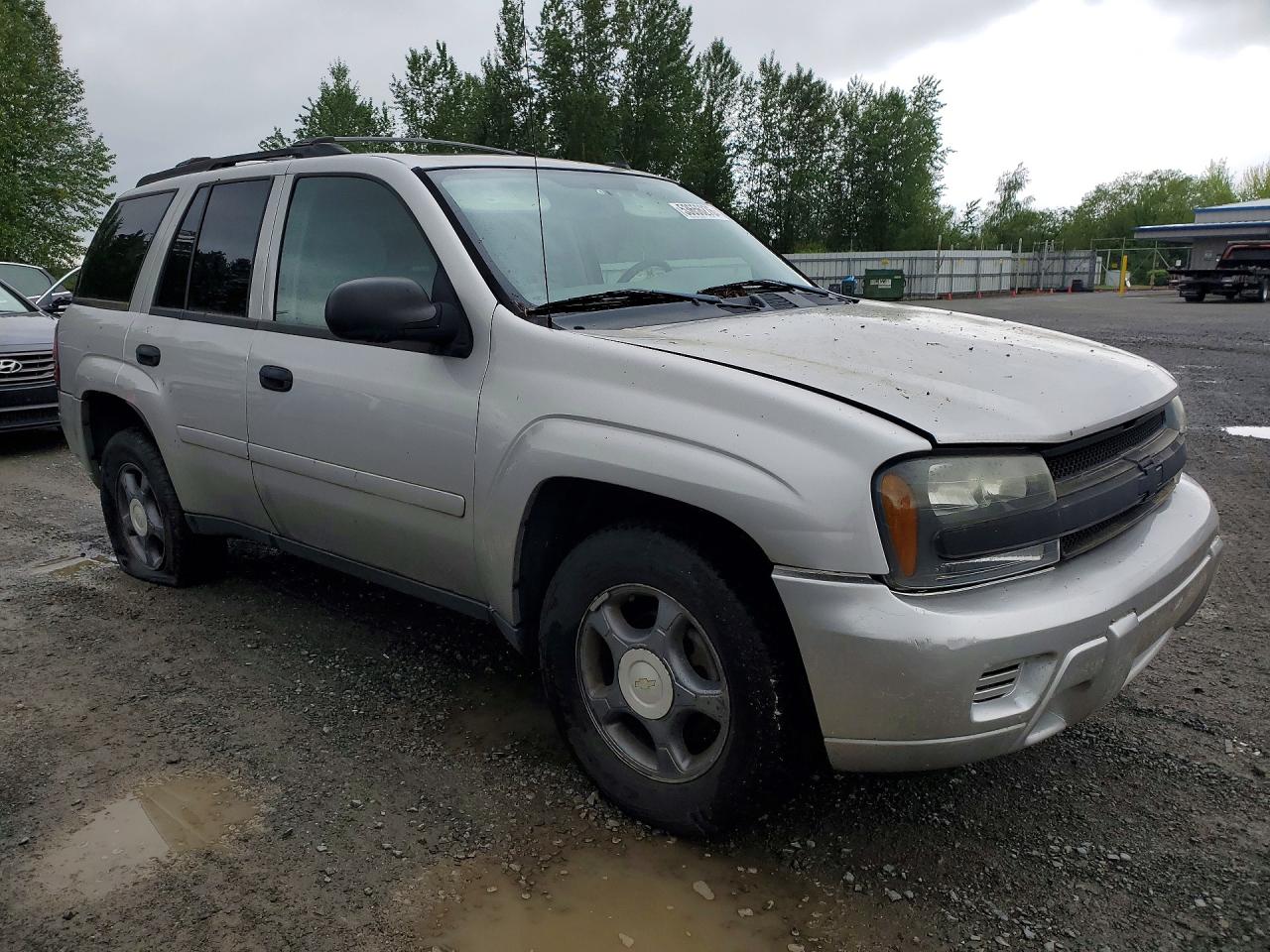 2006 Chevrolet Trailblazer Ls Silver vin: 1GNDT13S262334384