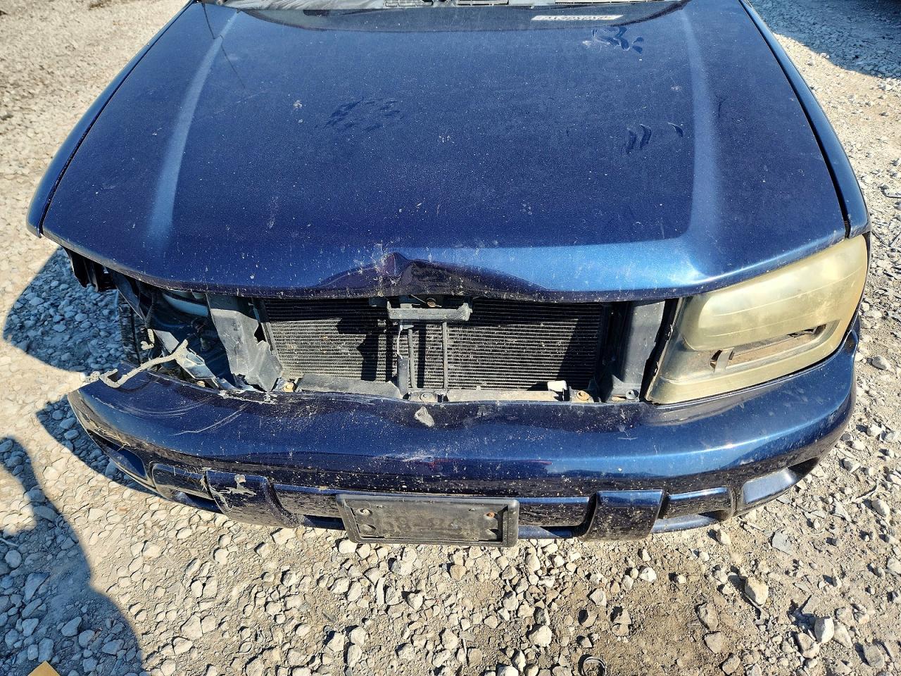 2007 Chevrolet Trailblazer Ls Blue vin: 1GNDT13S372263987