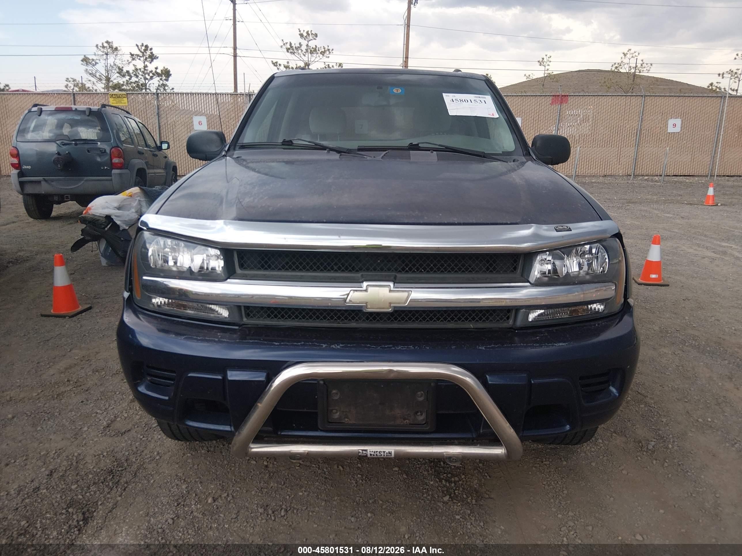2008 Chevrolet Trailblazer Fleet Синий vin: 1GNDT13S382256717