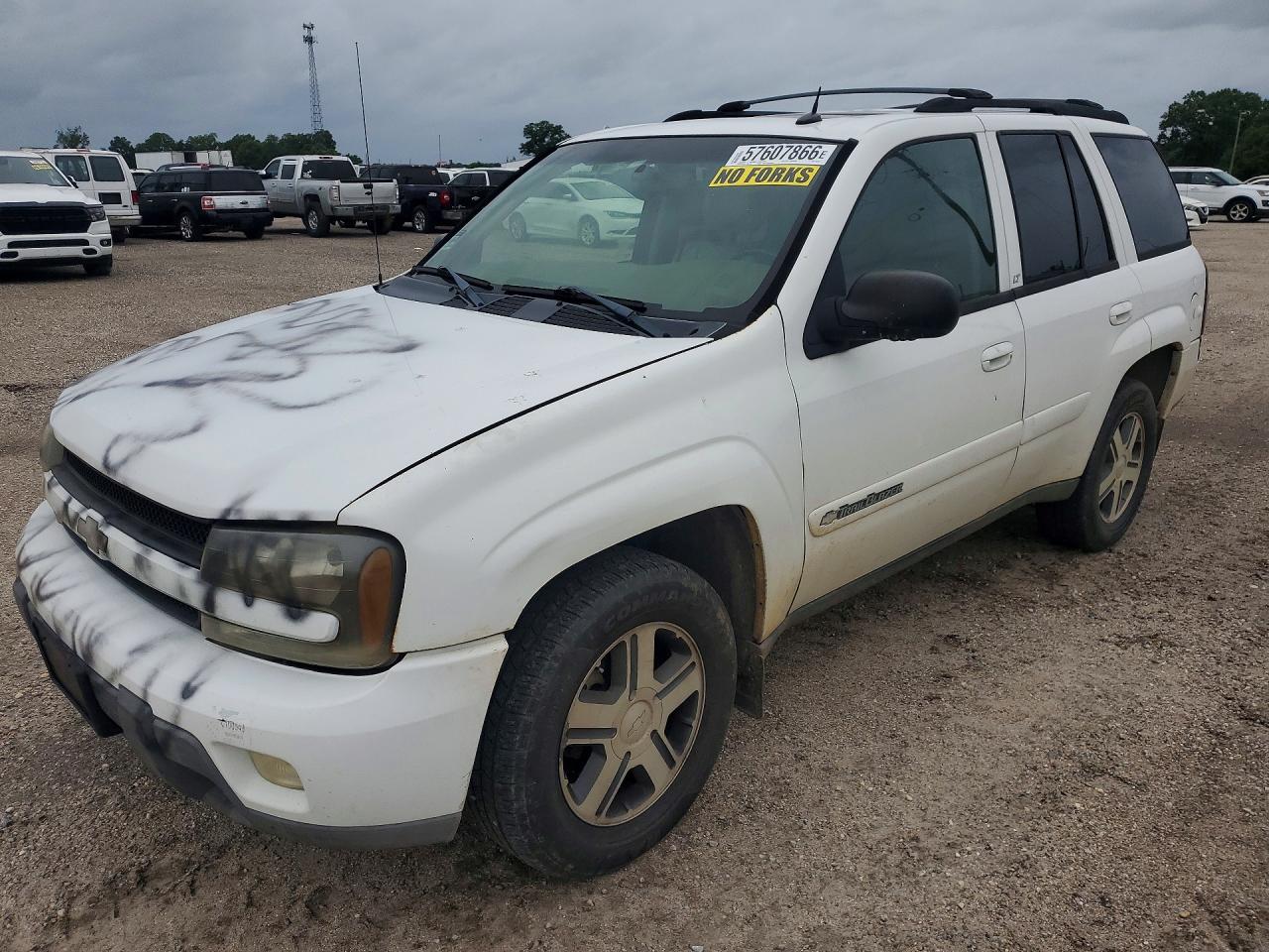 2004 Chevrolet Trailblazer Ls White vin: 1GNDT13S442329152