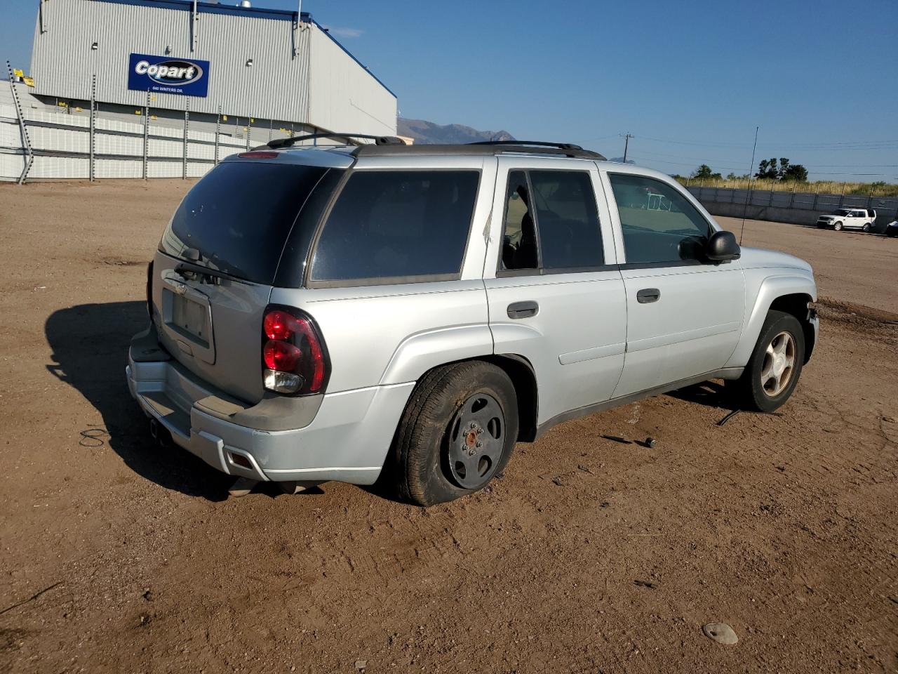 2007 Chevrolet Trailblazer Ls Silver vin: 1GNDT13S472209291