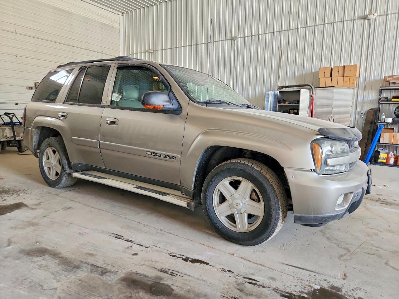 2002 Chevrolet Trailblazer Tan vin: 1GNDT13S522444582