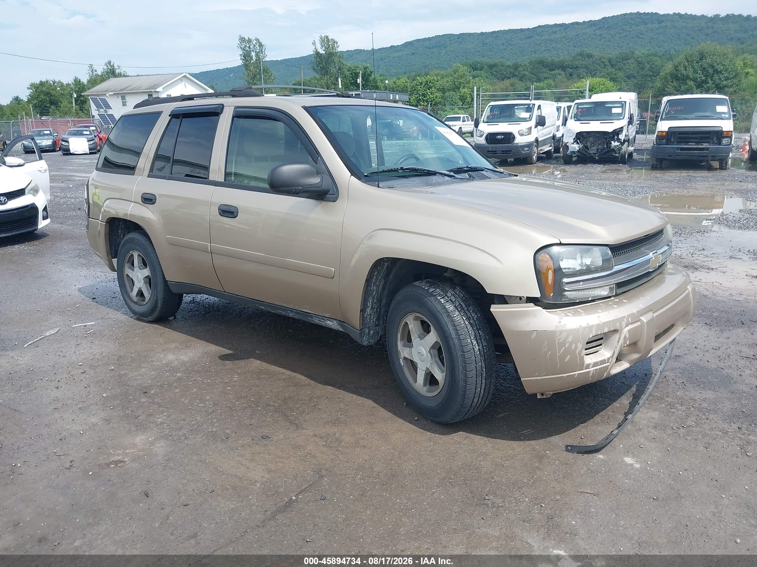 2006 Chevrolet Trailblazer Ls Золотой vin: 1GNDT13S562248986