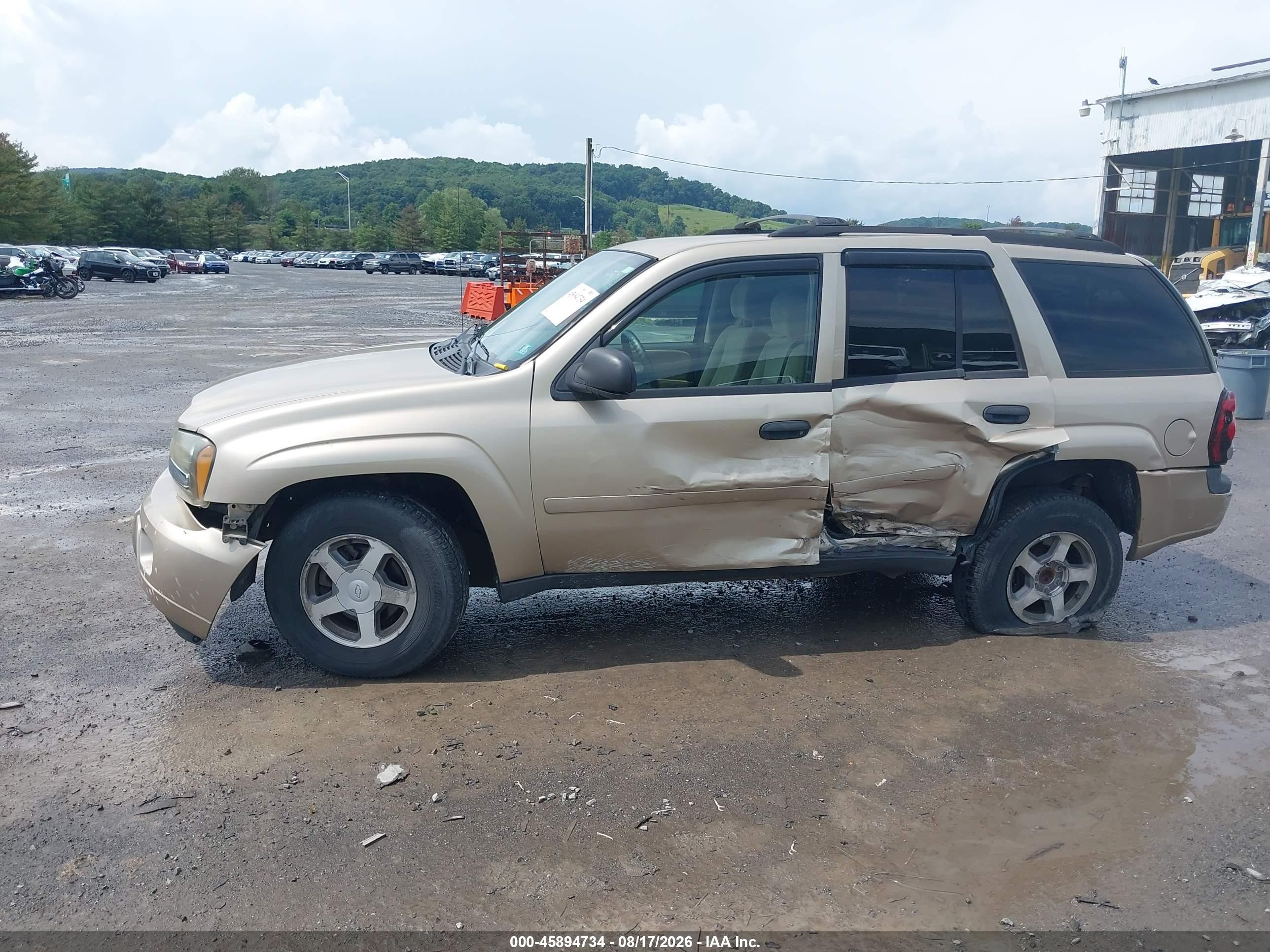 2006 Chevrolet Trailblazer Ls Золотой vin: 1GNDT13S562248986