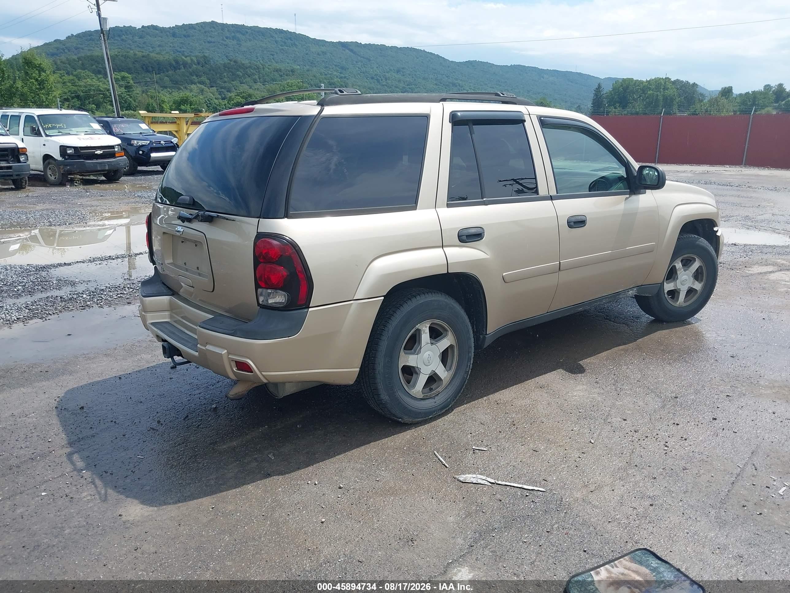 2006 Chevrolet Trailblazer Ls Золотой vin: 1GNDT13S562248986