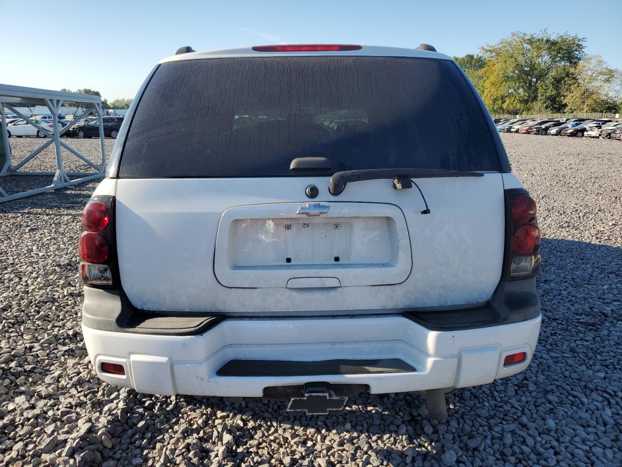 2007 Chevrolet Trailblazer Ls Белый vin: 1GNDT13S572240968