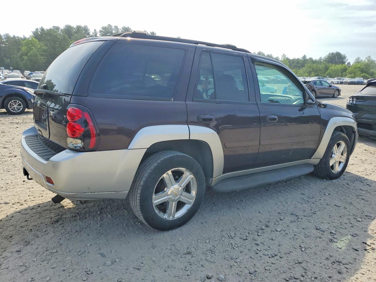 2008 Chevrolet Trailblazer Ls Фиолетовый vin: 1GNDT13S582166789