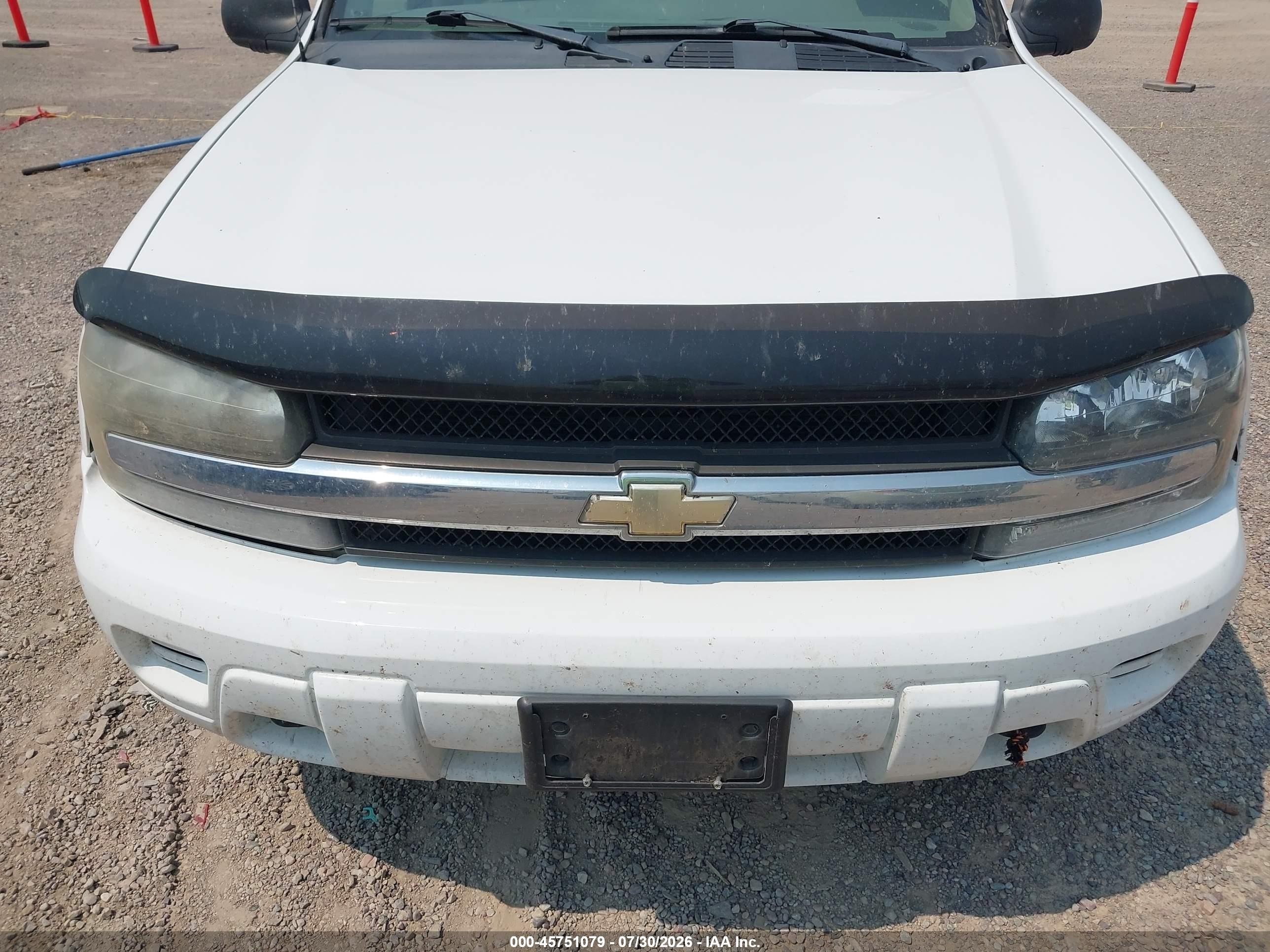 2008 Chevrolet Trailblazer Fleet Белый vin: 1GNDT13S582232287