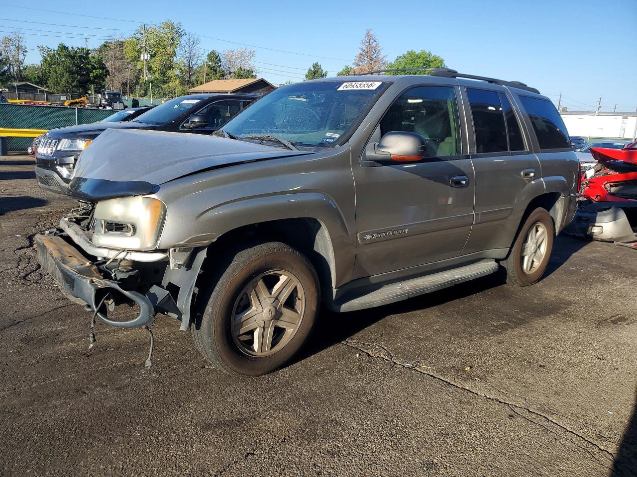 2003 Chevrolet Trailblazer Серебряный vin: 1GNDT13S632402097