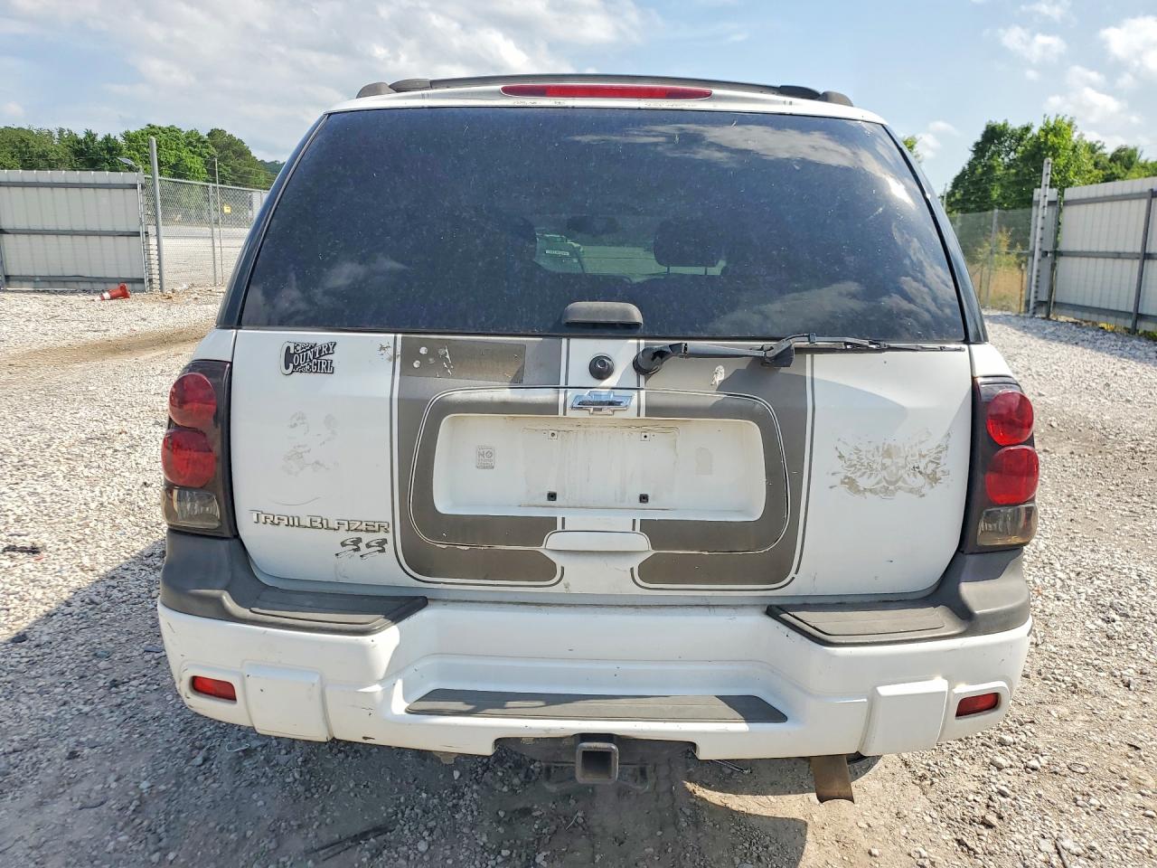 2006 Chevrolet Trailblazer Ls Белый vin: 1GNDT13S662118828