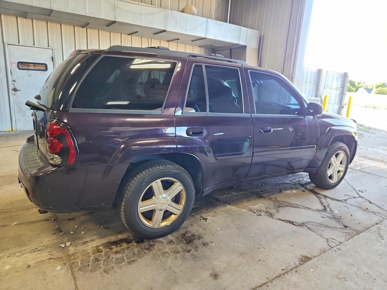 2008 Chevrolet Trailblazer Ls Бордовый vin: 1GNDT13S682204398