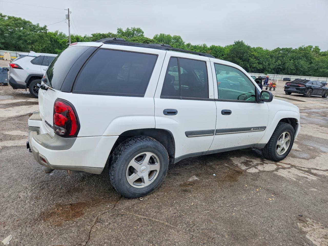 2002 Chevrolet Trailblazer White vin: 1GNDT13S722298802