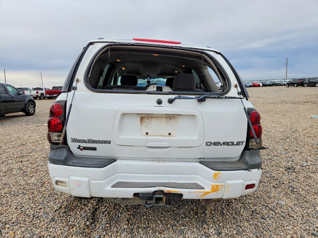 2003 Chevrolet Trailblazer White vin: 1GNDT13S832231028